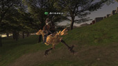Ariones and his Chocobo