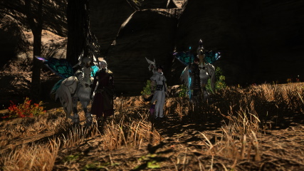 Time for a quick group pose as we're hunting FATEs