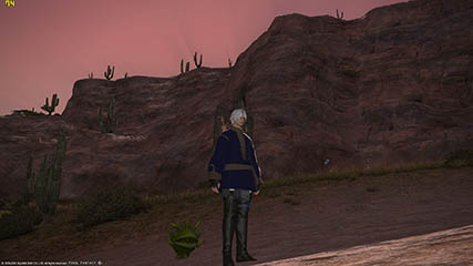 QD's travels in Eorzea