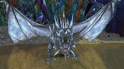 The wise dragon