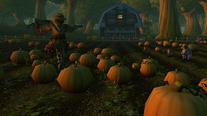 Pumpkin Patch