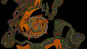 Molten Core Map